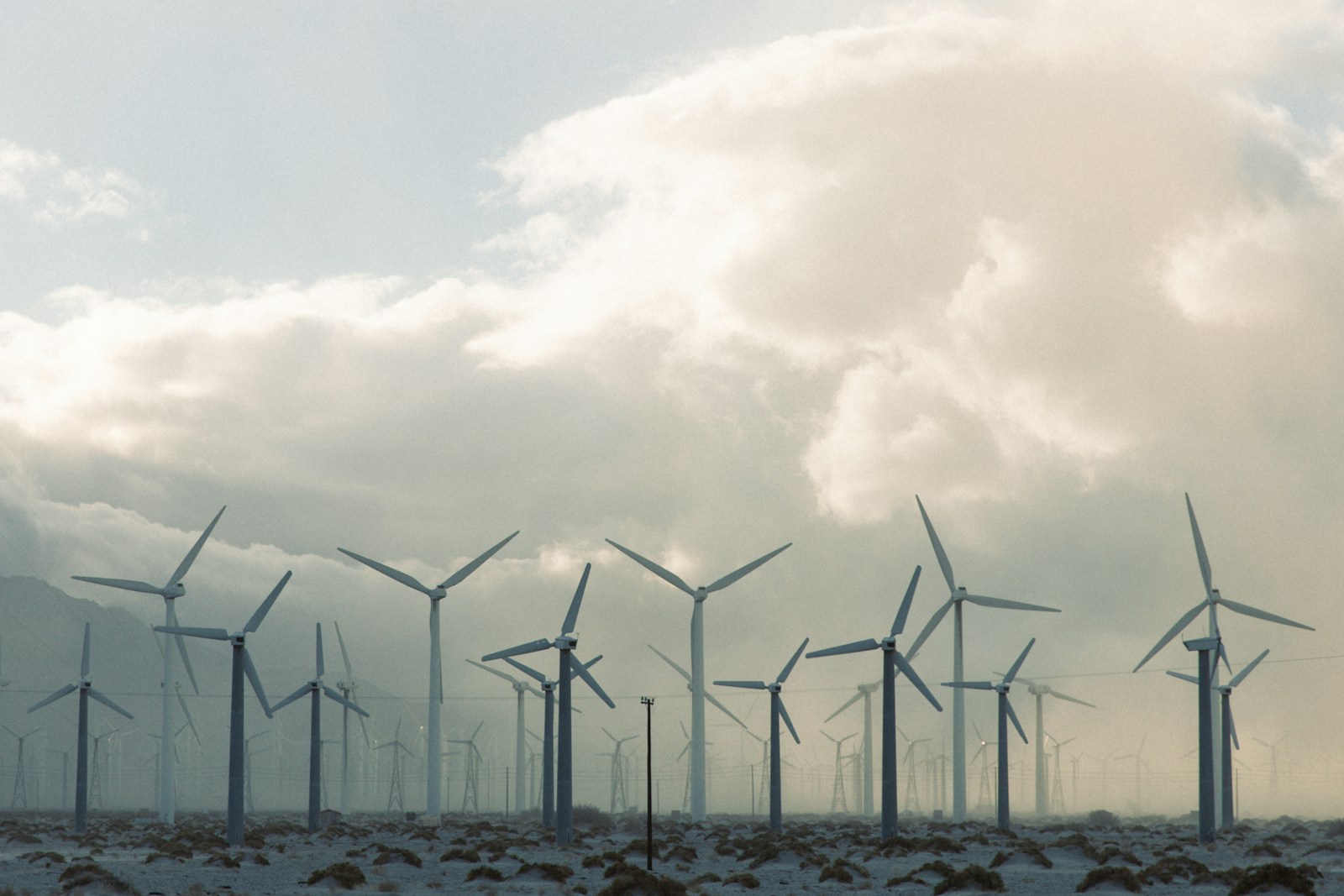 a large group of windmills on a cloudy day